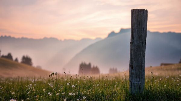 Top 10 raisons d'utiliser les huiles de CBD suisse pour aller mieux
