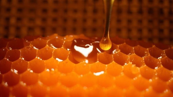 Top 5 atouts du miel de manuka à découvrir absolument